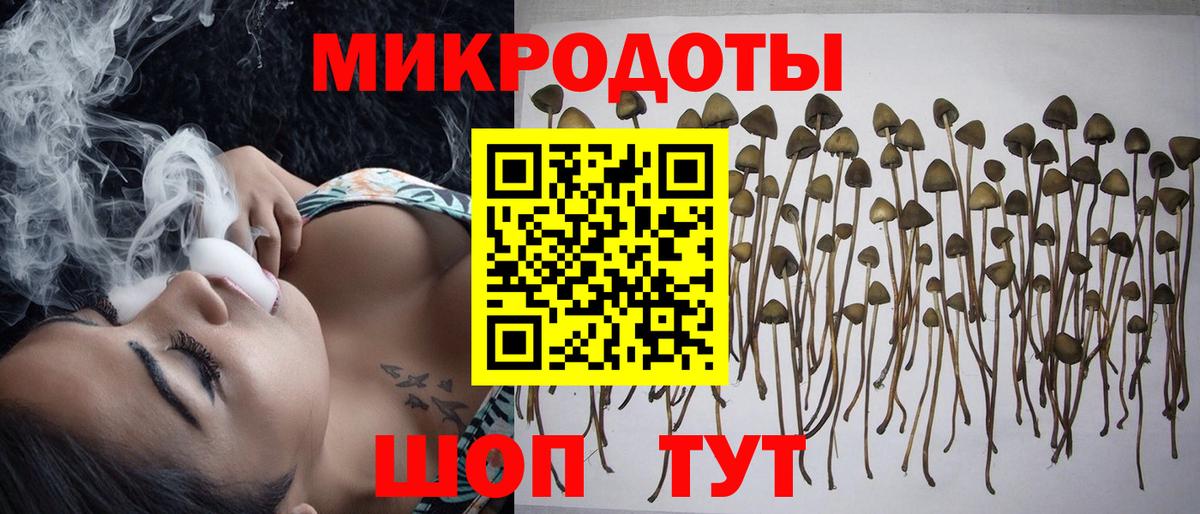 Псилоцибиновые грибы Cubensis Егорьевск