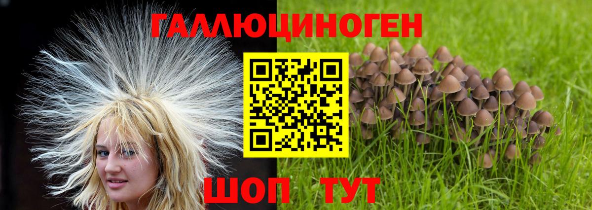 Егорьевск  Псилоцибиновые грибы Cubensis  Вход с VPN  Галлюциногенные грибы Psilocybe 